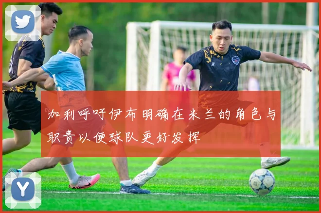 加利呼吁伊布明确在米兰的角色与职责以便球队更好发挥