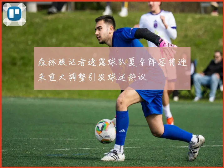 森林狼记者透露球队夏季阵容将迎来重大调整引发球迷热议